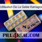 Utilisation De La Gelée Kamagra 41